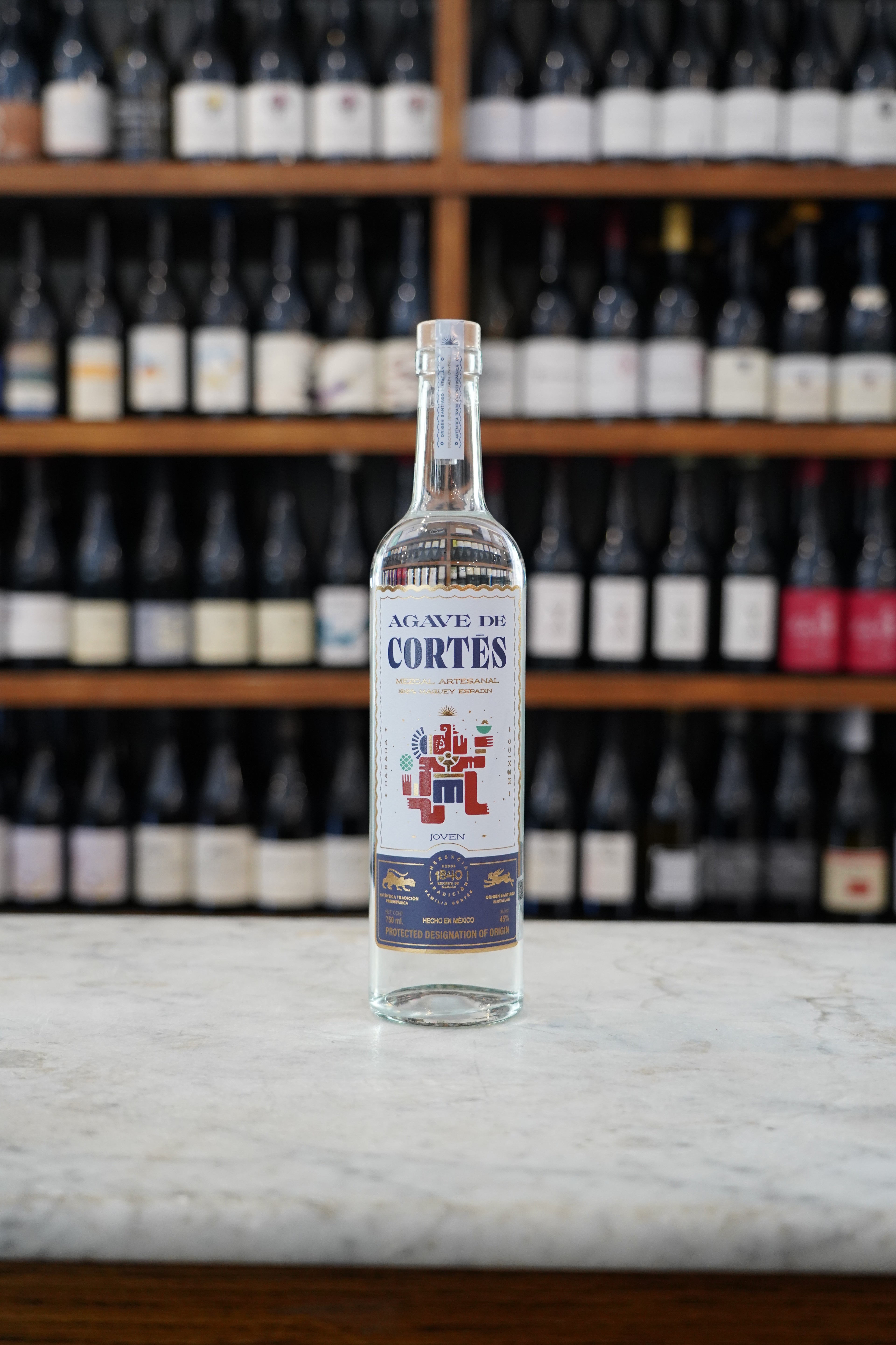 Agave de Cortes Joven