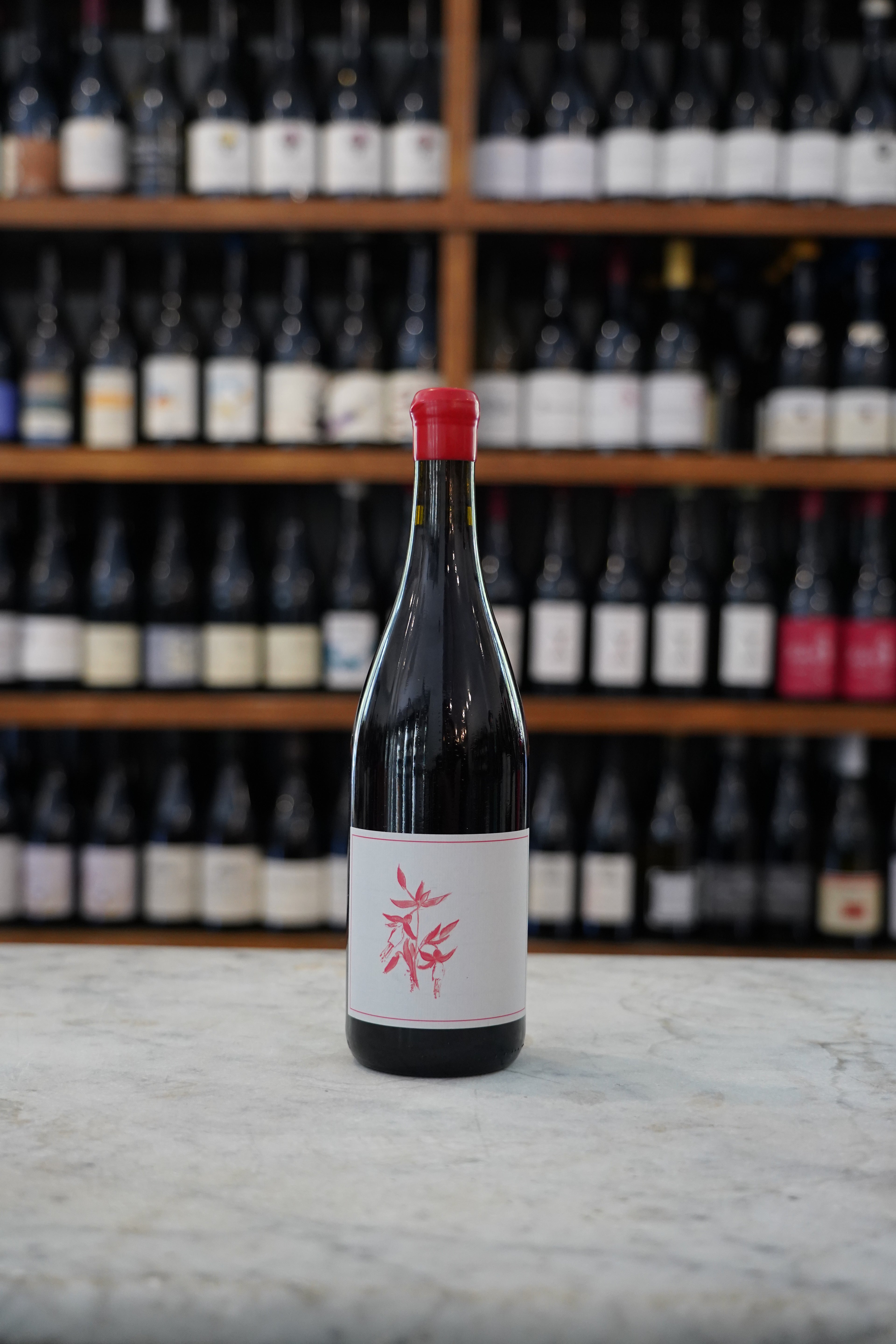 Arnot-Roberts Gamay Noir
