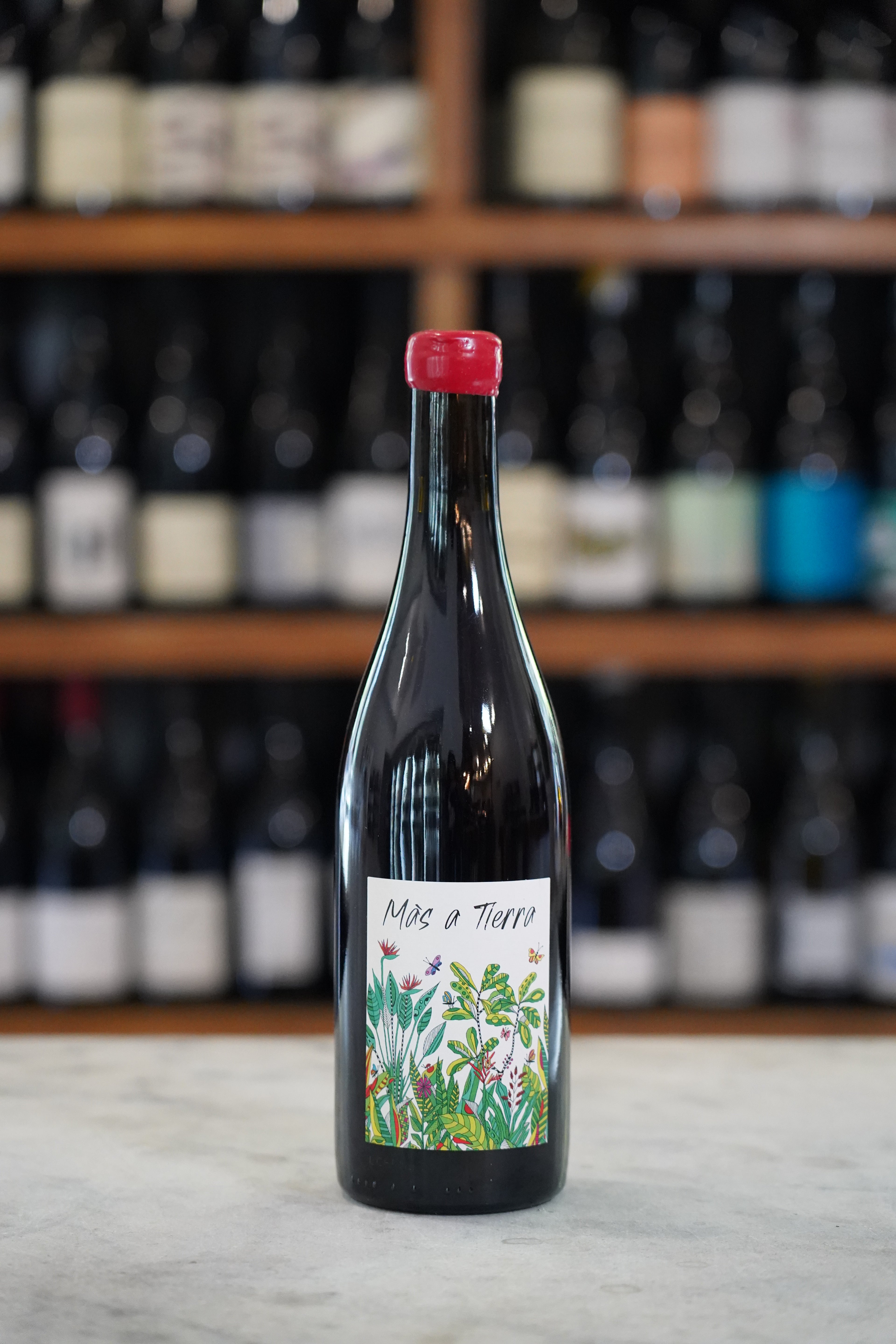 Domaine de La Petite Empreinte Pinot Noir Coteaux Bourguignons Mas a Tierra