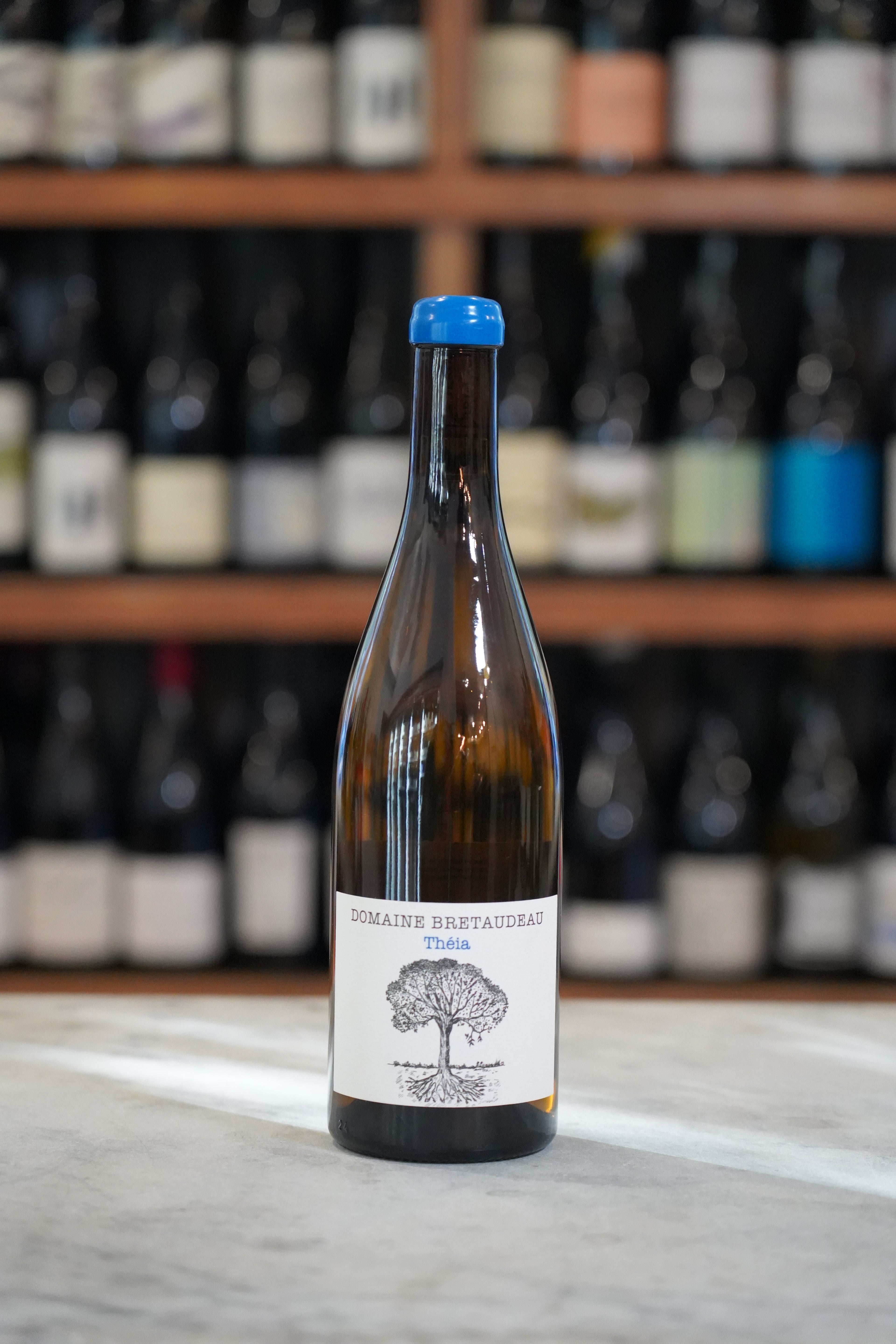 Domaine de Bellevue Jerome Bretaudeau Theia Muscadet