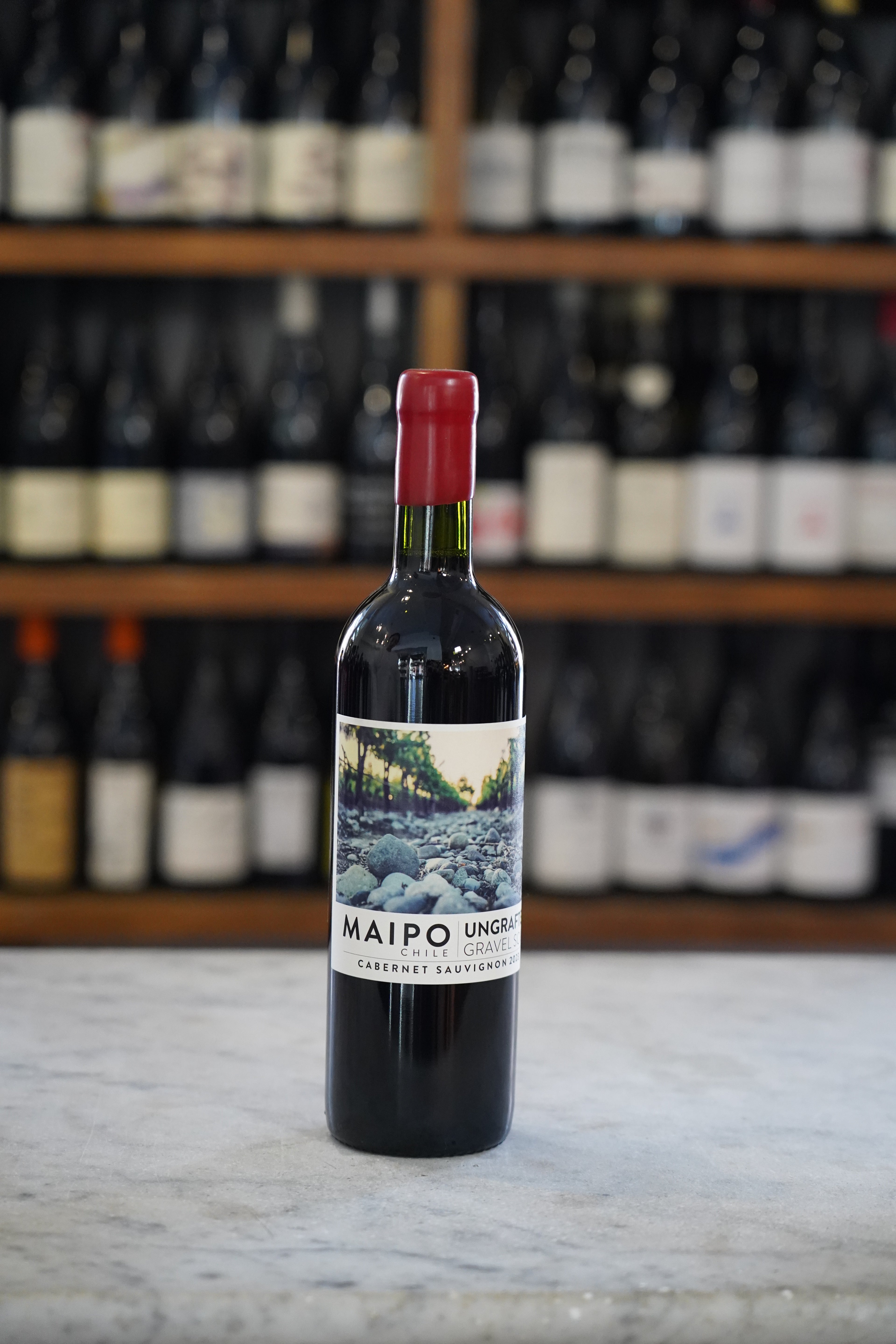 Ungrafted Maipo Cabernet Sauvignon