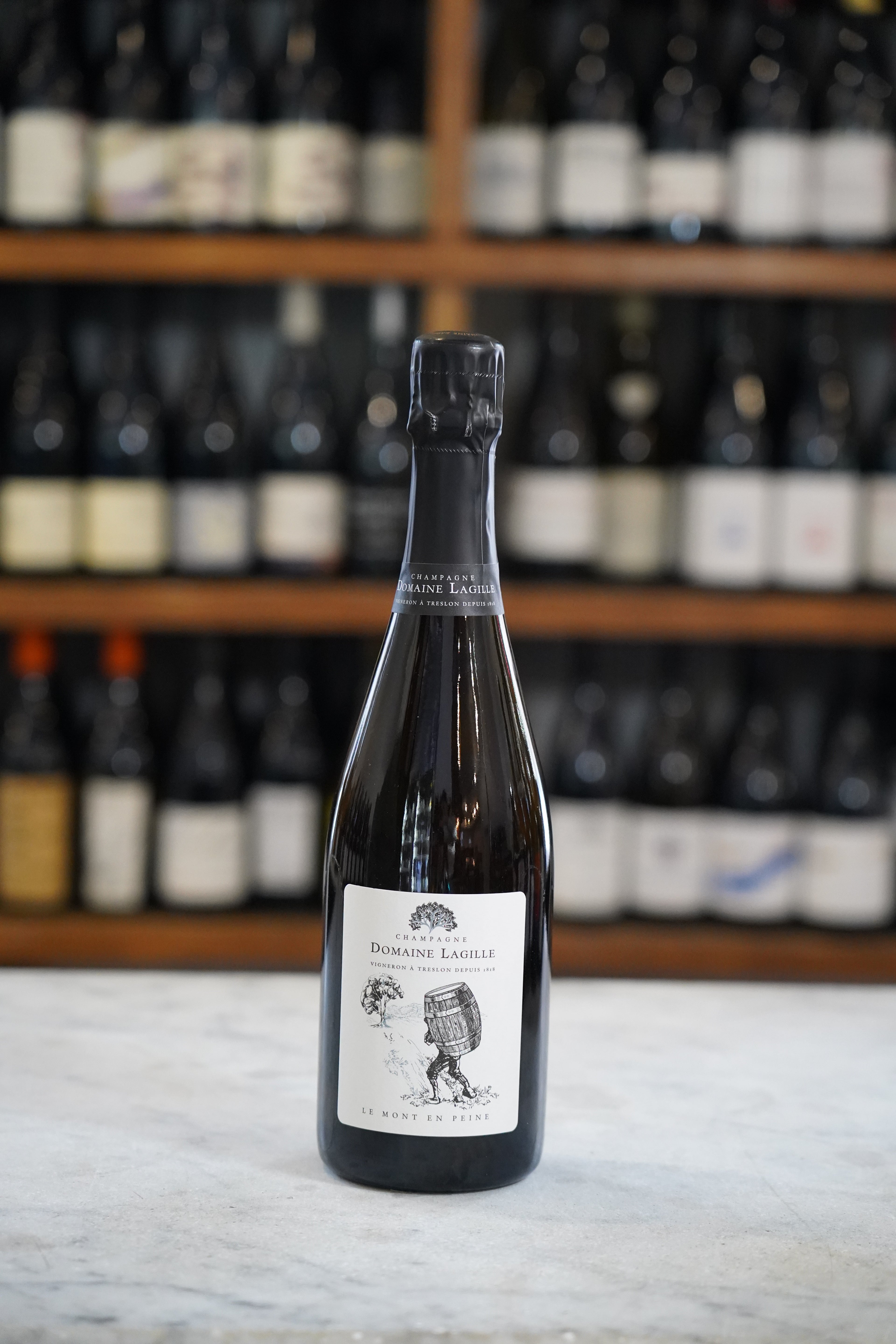 Domaine Lagille Le Mont en Peine