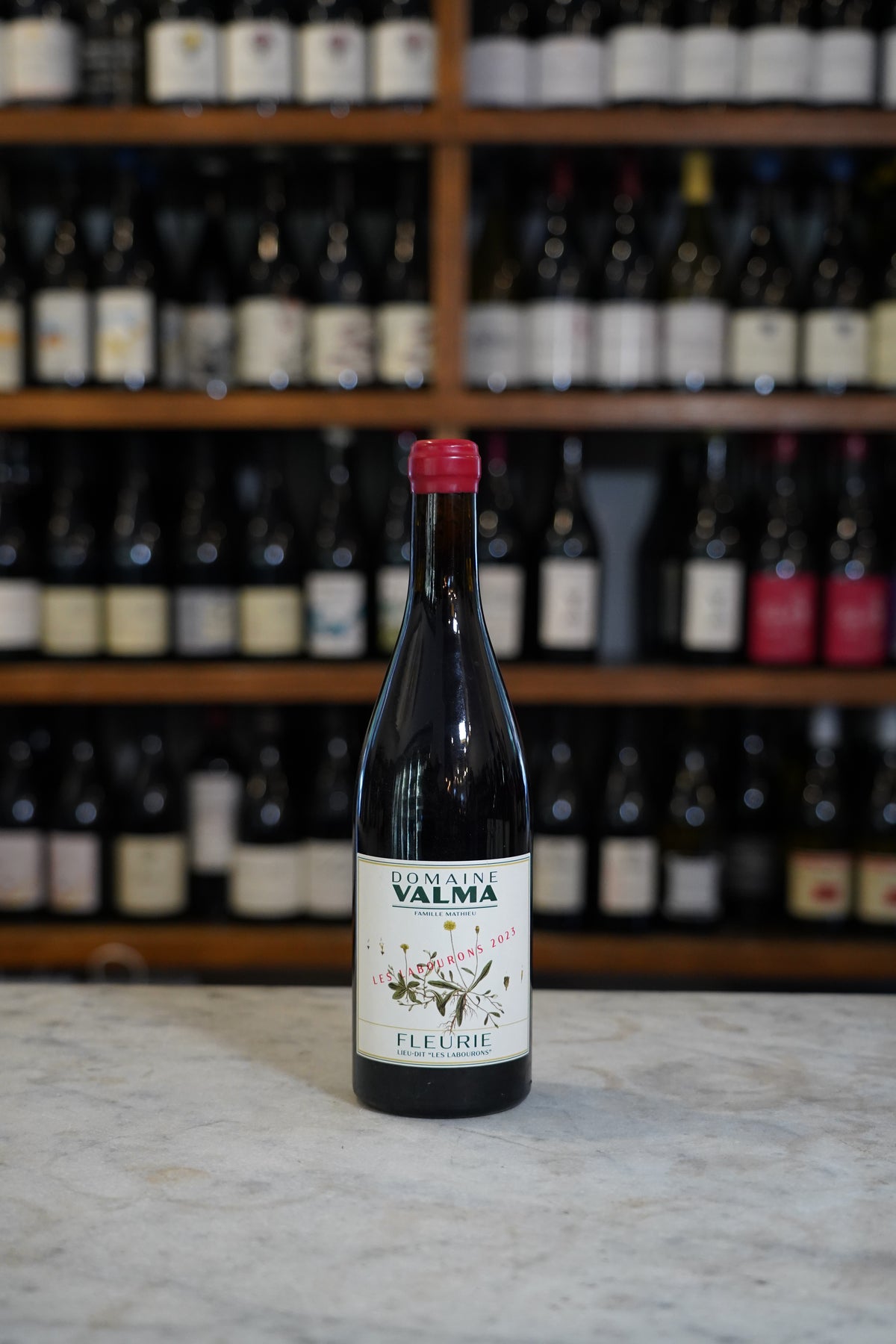 2023 Domaine Valma Fleurie Les Labourons